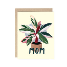  A Plant for Mom